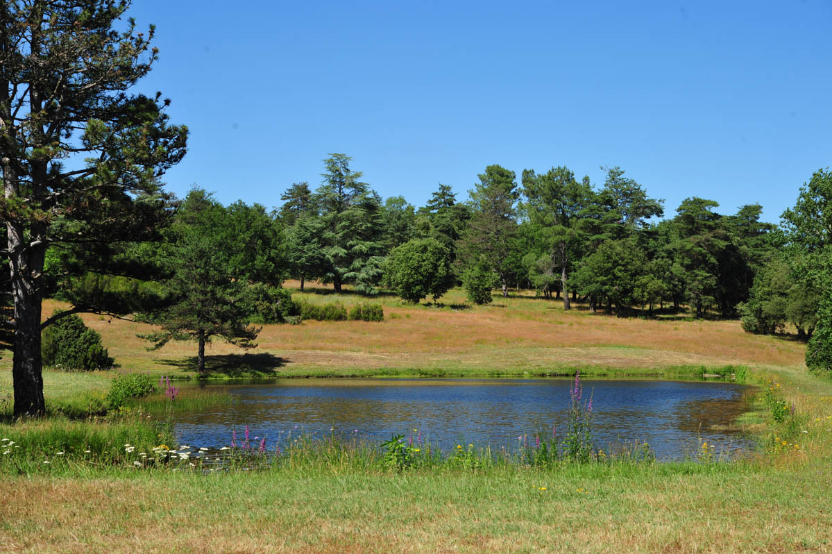 forge de montolieu