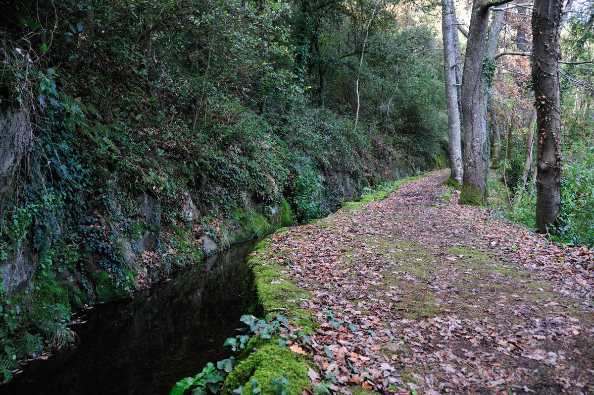 forge de montolieu